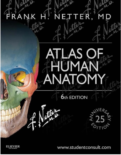 atlas of human anatomy 7th edition